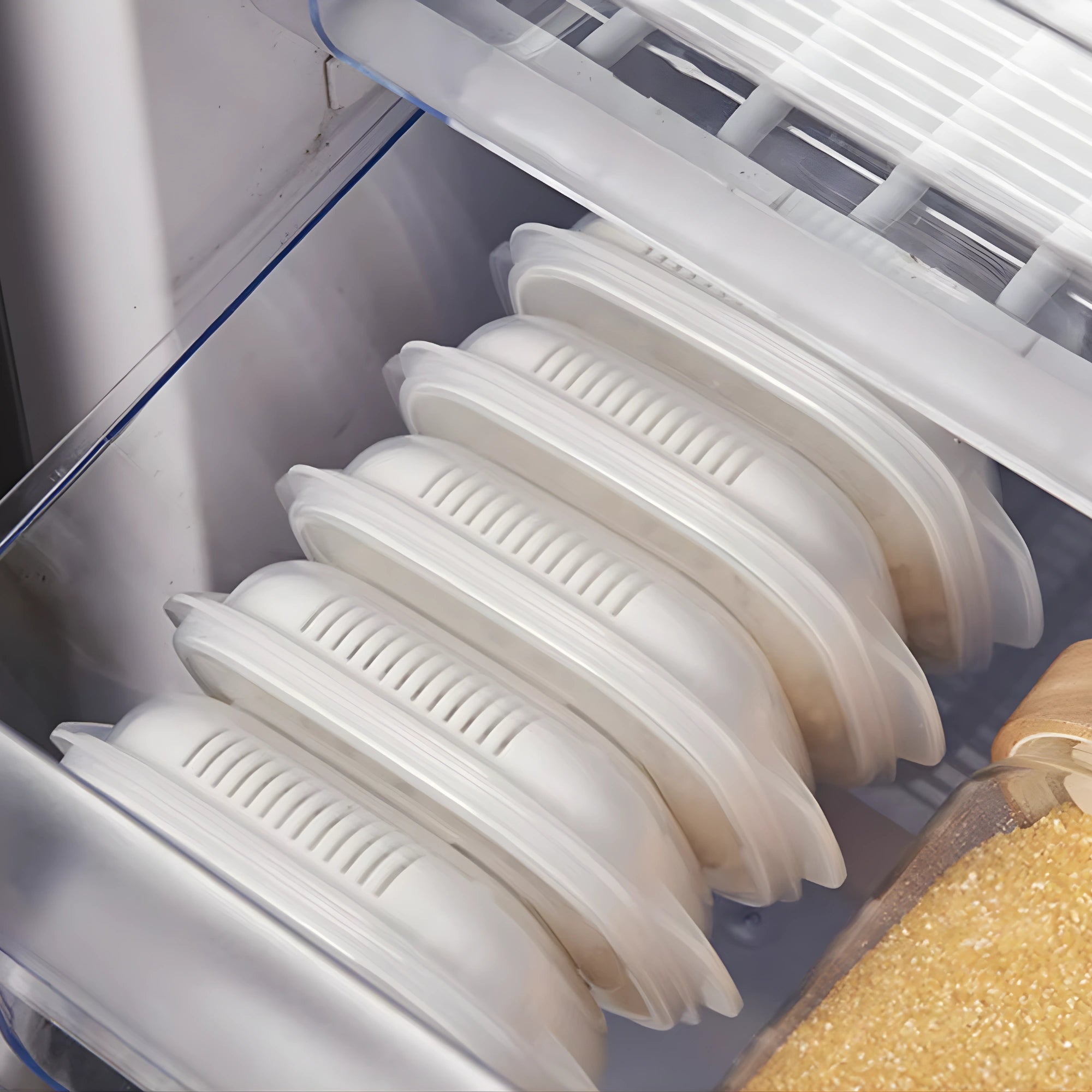 Food Storage Container – Rice, Fruit & Kitchen Storage Box for Refrigerator & Freezer
