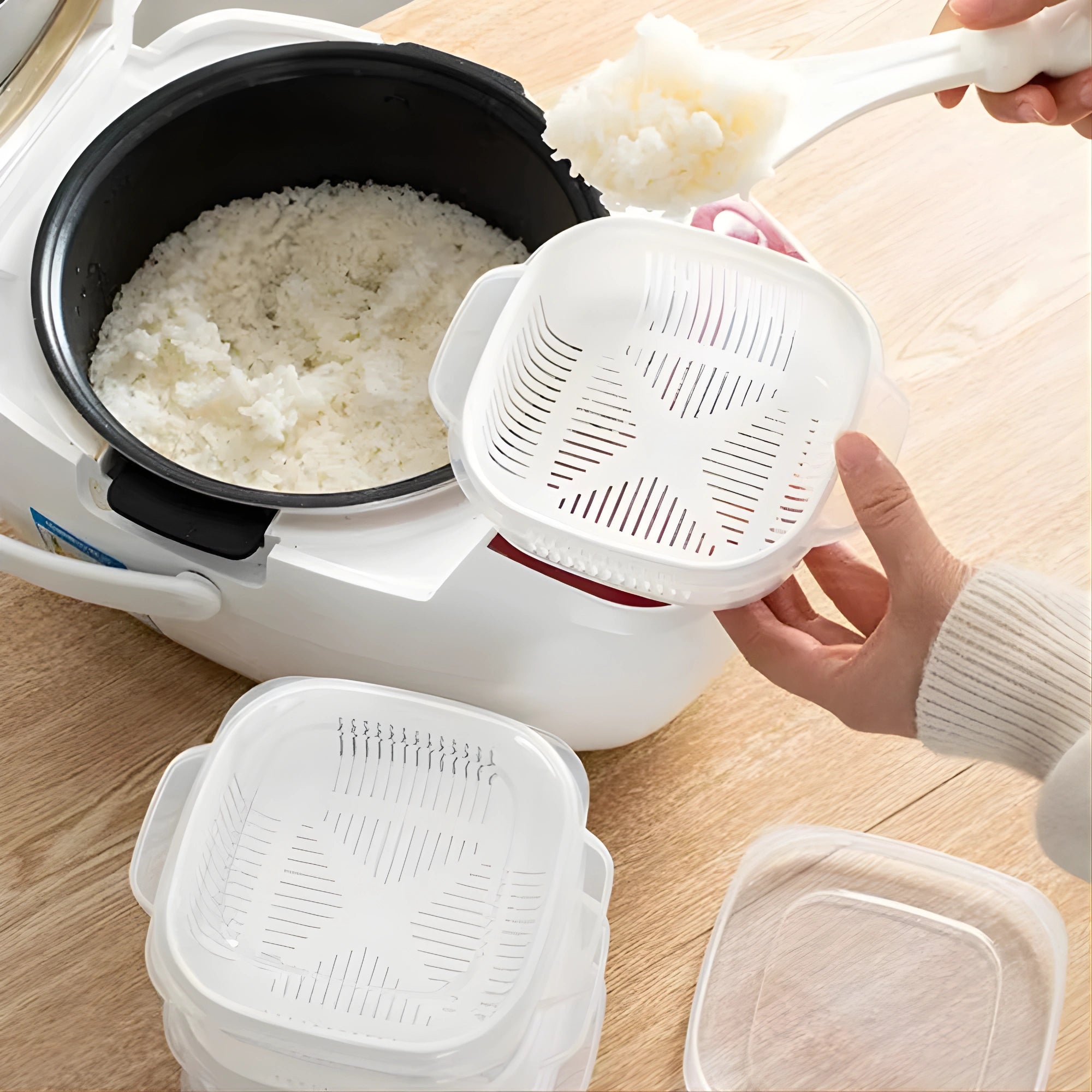 Food Storage Container – Rice, Fruit & Kitchen Storage Box for Refrigerator & Freezer