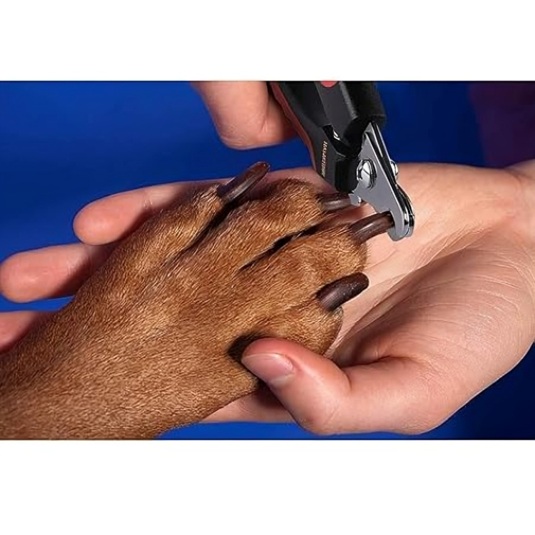 Animal Nail Cutter & Clipper Set – Professional Trimmer & Filer for Dogs, Puppies, Cats & Kittens