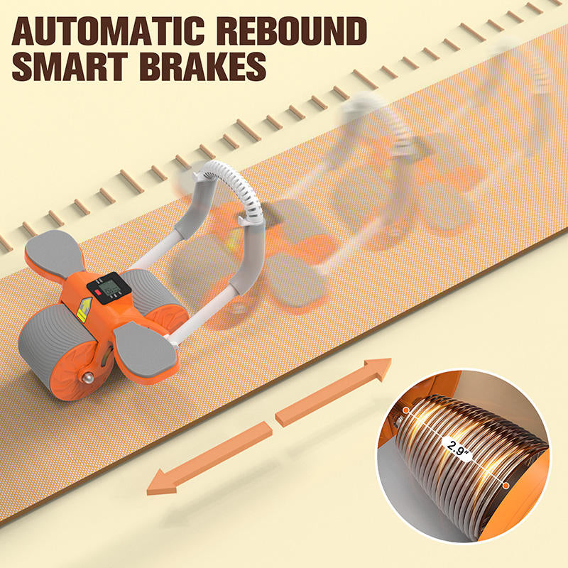 Ab Wheel Roller for Core Strength & Abdominal Training